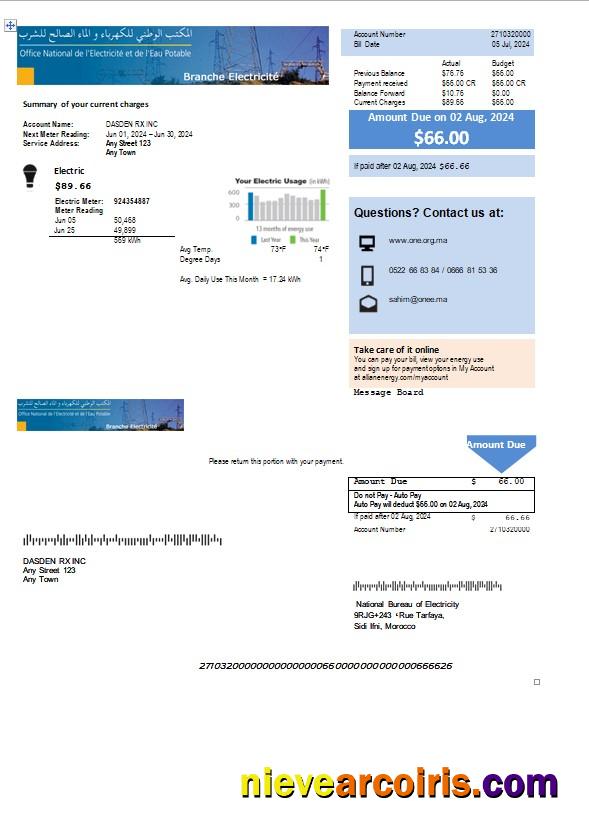 Morocco National Bureau of Electricity business utility bill